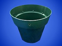 Special – 3" Green Pot